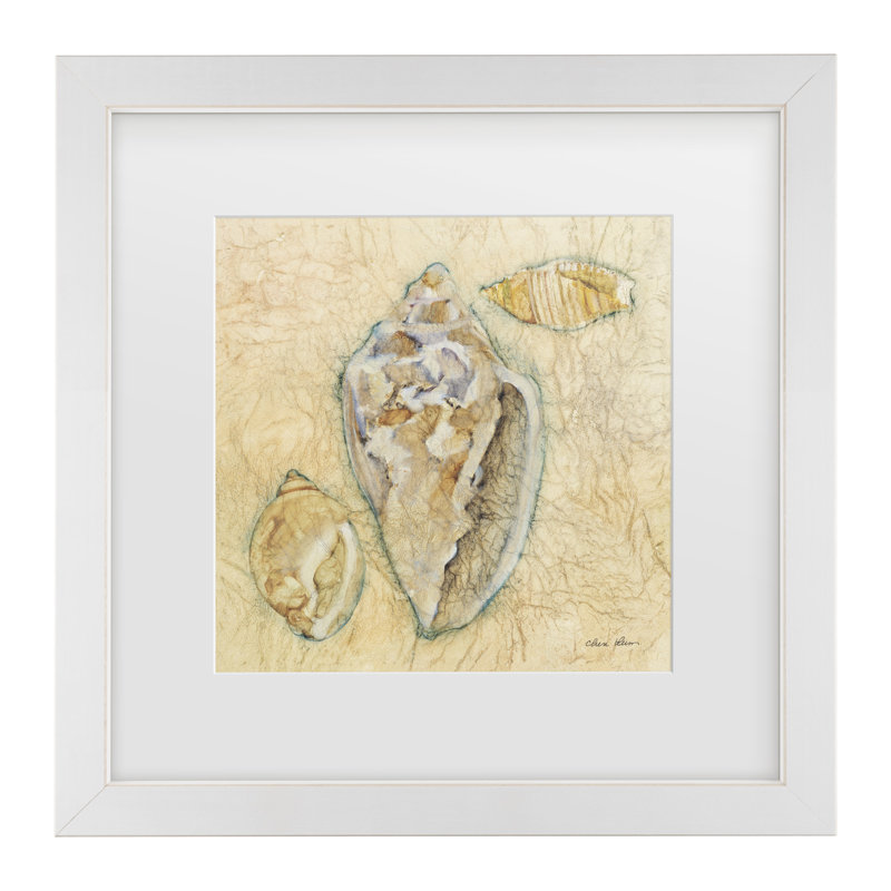 «Cheri Blum Shells IV Matted», art encadré, H 13 po x l 13 po, Blanc