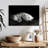 Sleepy Polar Bear-107669760