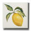 «Le Citron On Cream» par Silvia Vassileva, art mural sur toile-960489333