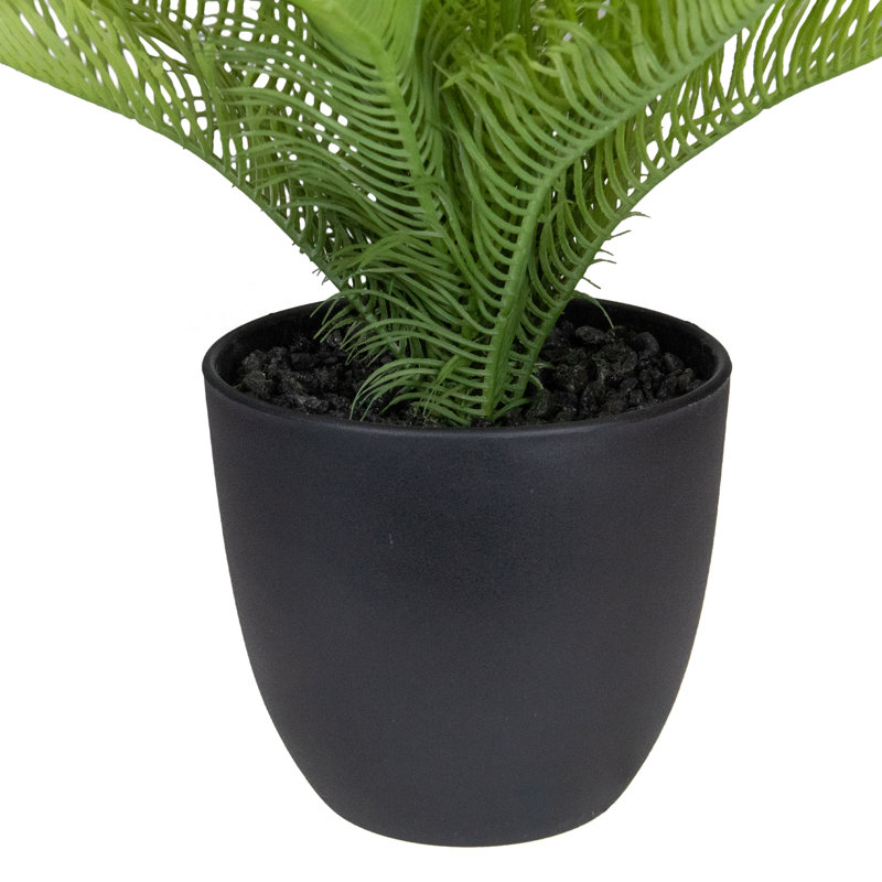 Evergreen Bliss 12" Artificial Pinus in Black Pot for Indoor/Outdoor Decor