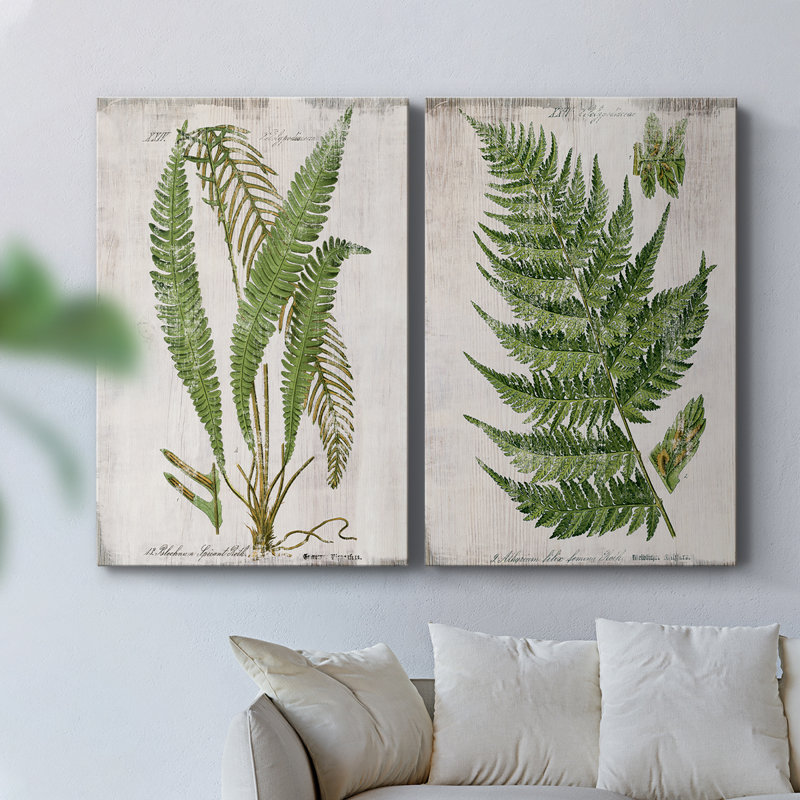 «Greenhouse Fern» - Toile tendue avec châssis de qualité supérieure - Prêt à être accroché, H 12 po x l 16 po