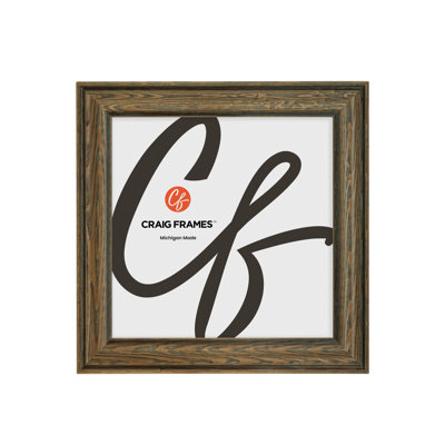 Cadre photo Craig Frames 10x15 pouces, brun clair, style Potomac, moulure en bois de 2,5 pouces, finition teintée, vitre et système d'accrochage inclus.
