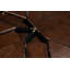 Giselle Round Dining Table-1837227131-1837227130