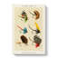 Bass Fishing Flies Versions 4 by Mary Orvis Marbury - Wrapped Canvas-55315766