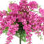 Wisteria Stem - Set of 6-2087040028