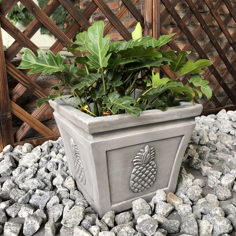 Boîte à fleurs en béton Caenas, H 13 po x l 14 po x P 14 po, Gris clair
