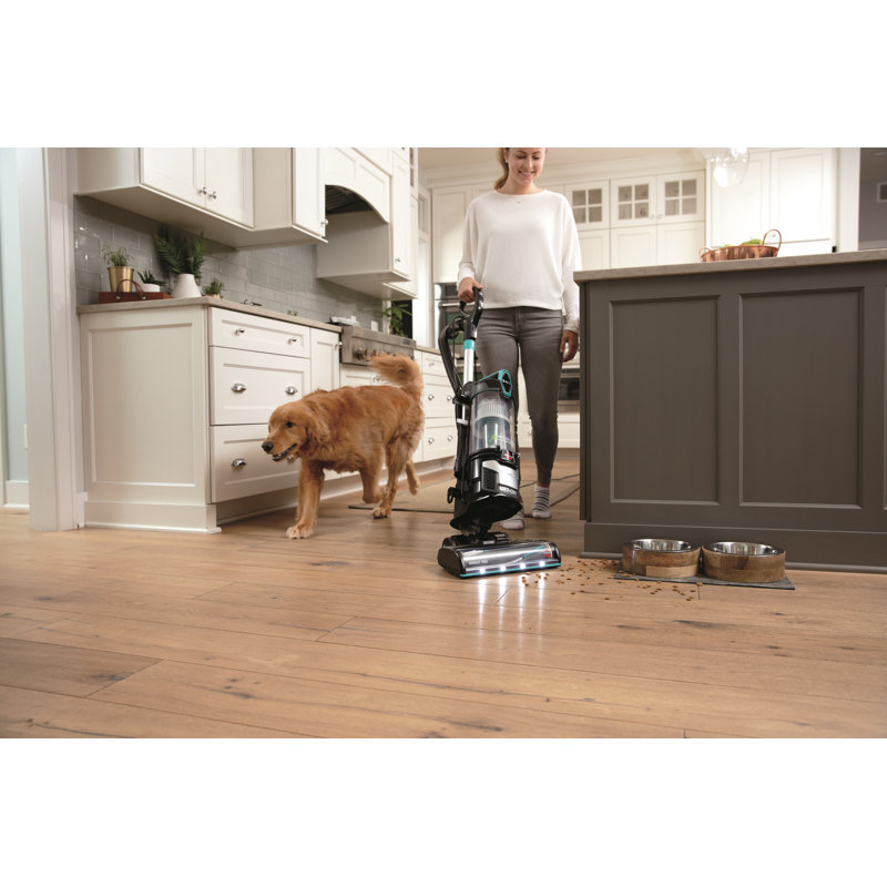 BISSELL MultiClean Allergen Lift-Off Pet | 2852