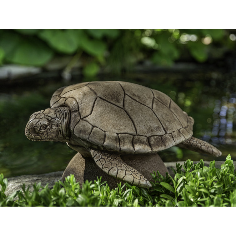 Large Sea Turtle