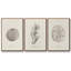Shore Treasure Study I 3 pièces-97711595-97711596
