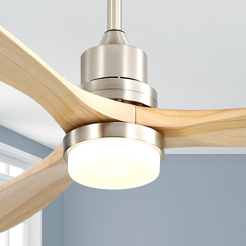 Ceiling Fan with LED Lights