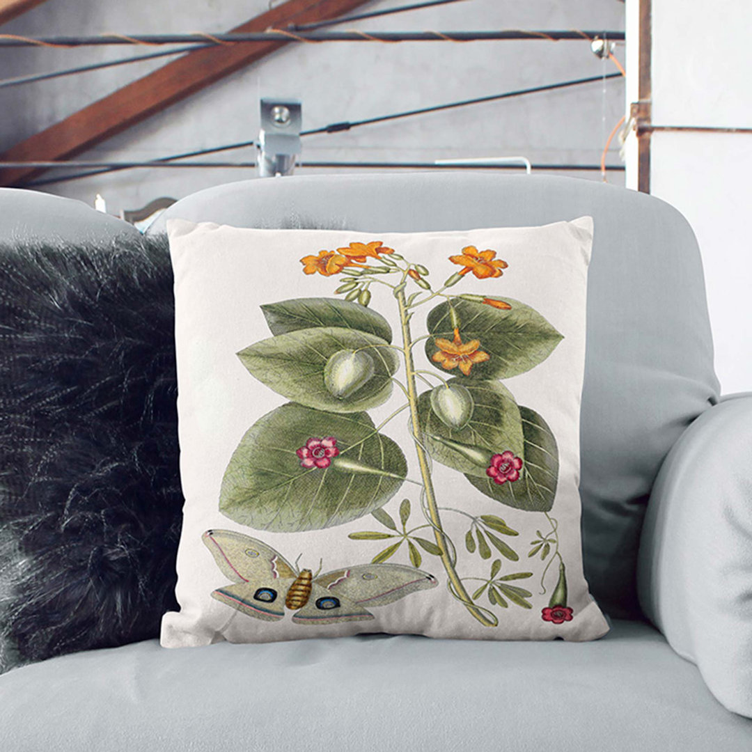 Great Moth by Mark Catesby Cushion with Filling