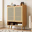 16 Pair Shoe Storage Cabinet