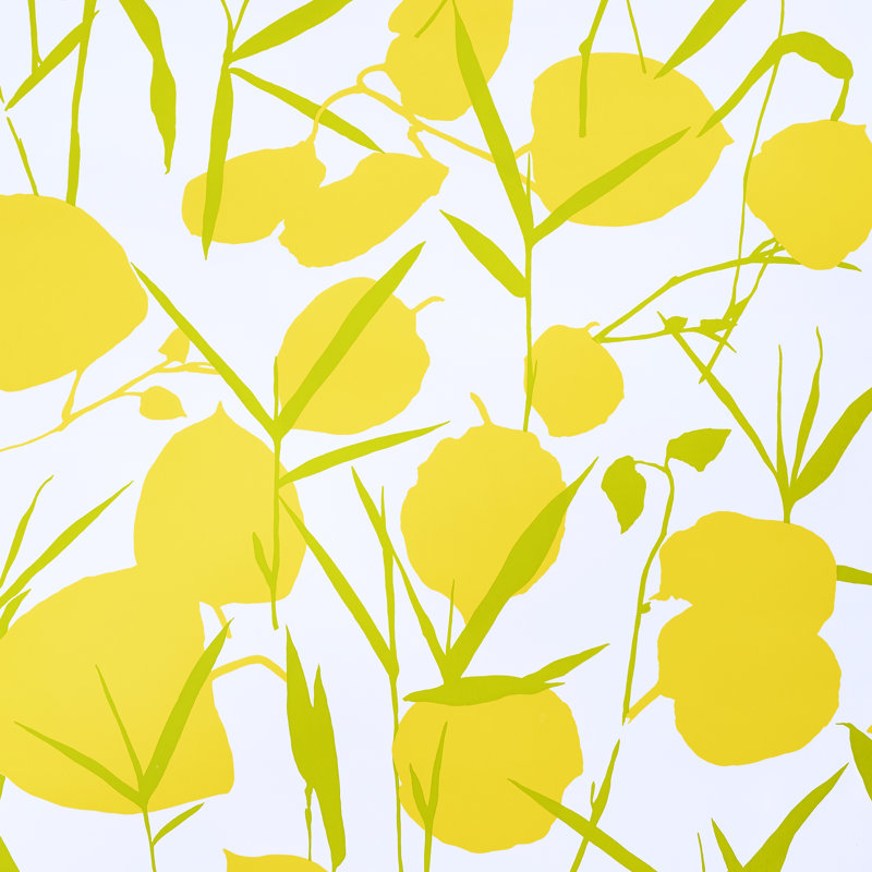 Joan Wallpaper, Yellow
