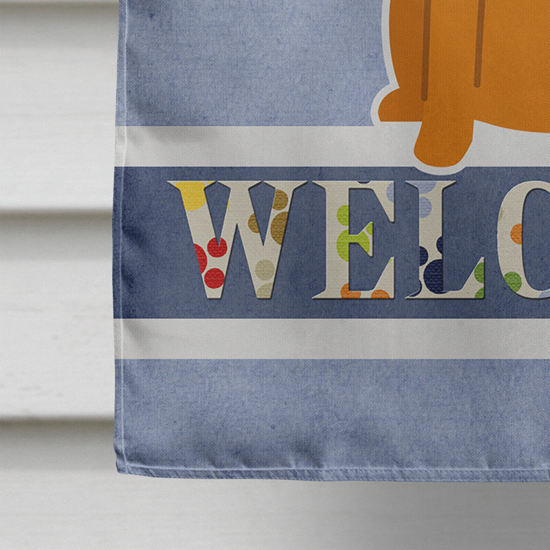 Polyester 2 côtés 40 x 28 po welcome drapeau maison, Border Terrier assis