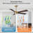 5 Blades Indoor Ceiling Fan With Light Kit And Remote-2054405702-2048701224
