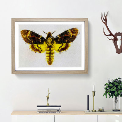 Deathshead Moth - Picture Frame Painting Print