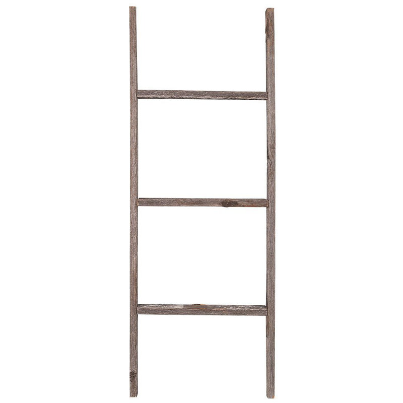 Échelle de couverture 3 pi