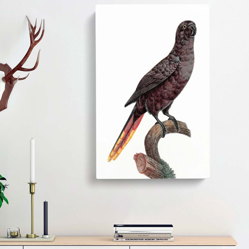 Black Lory by F. Levaillant - Wrapped Canvas, 76cm H x 50cm W x 3cm D