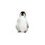 Art pingouin-49795511-49795510
