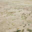 Tapis Memento-588828465