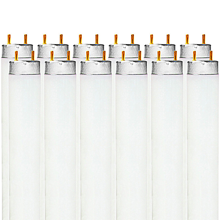 32 Watt T8 G13/Bi-pin 6500K Fluorescent Bulb
