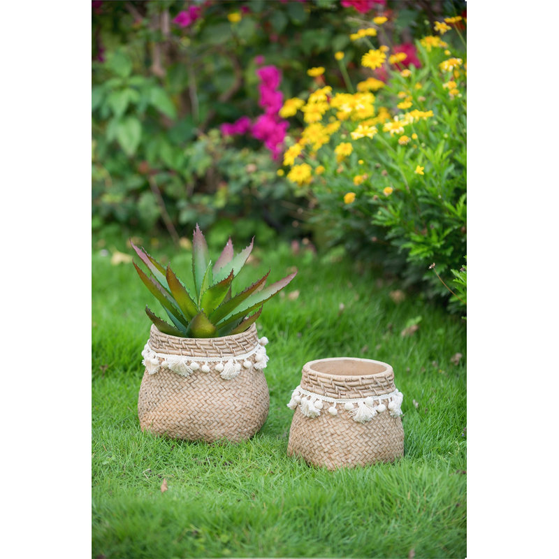 Set Of 2 6.5X6.5X6" Brown Cement Planter With Woven Tassel Accent