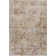 Rayia Abstract Indoor Rug