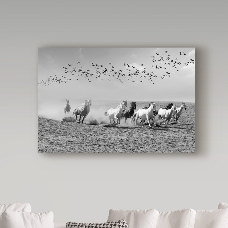 « wild cheval », reproduction de photo sur toile tendue, 16 po x 24 po
