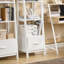 Jedidiah 160cm H Ladder Bookcase-42017698