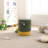 Adorable Dinosaur Storage Stool With Removable Lid, Tail & Spikes - Kids' Playroom Chair-443183502