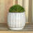Winkler Ceramic Pot Planter