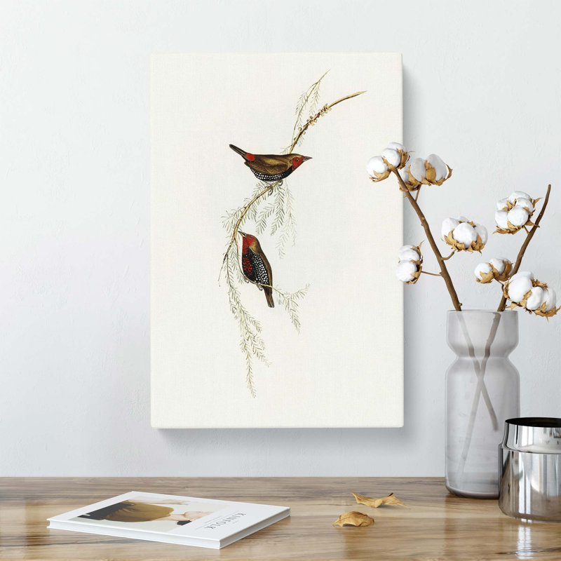 'Painted Finch Birds' by Elizabeth Gould - Wrapped Canvas Painting Print, 50.8 cm H x 35.6 cm W