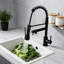 Robinet de cuisine en acier inoxydable noir mat avec douchette rétractable et poignée à ressort à poignée simple