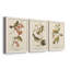 Oiseau de riz Wandering, reproduction d'art sur toile-1813864130-1813864138