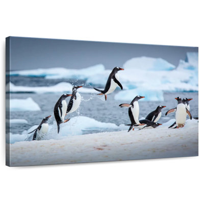 Penguins Jumping On Ice