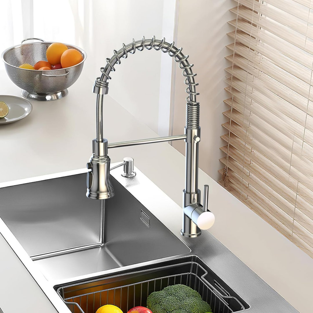 Williston Forge Kitchen Faucet