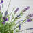 Lavender Topiary Artificial Tree