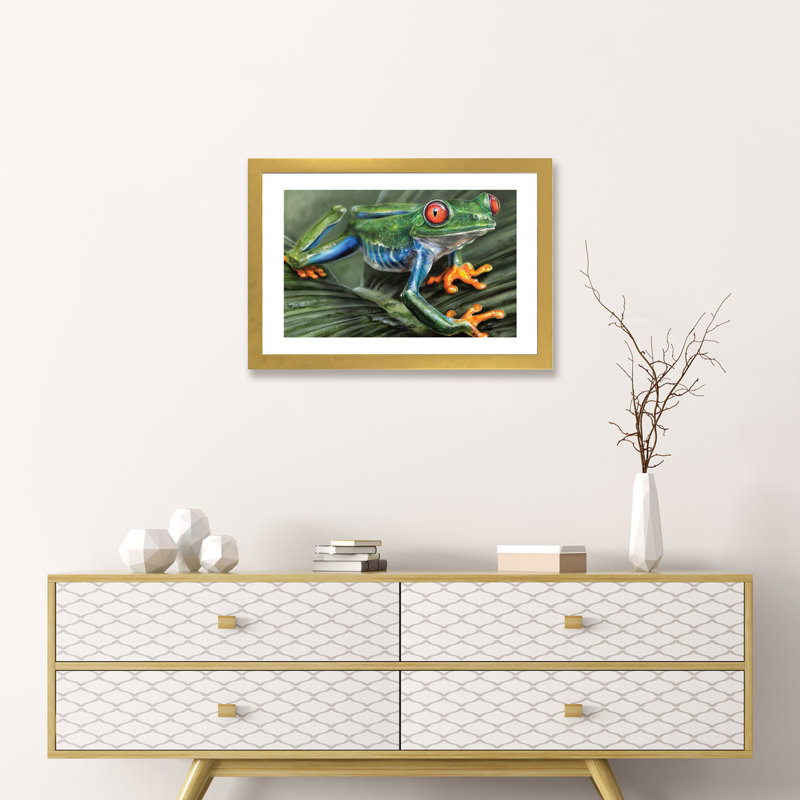 «Tree Frog I», reproduction de photo encadrée, Papier doré, H 16 po x l 24 po x P 1 po