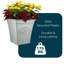 Pot Planter