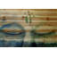 «Meditation» par Parvez Taj - impression sur bois sans cadre-58955596