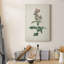 «Traditional Botanical II», impression sur toile tendue-1942529584