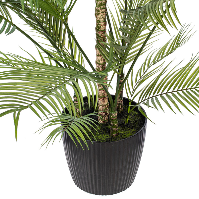 70,5 plante