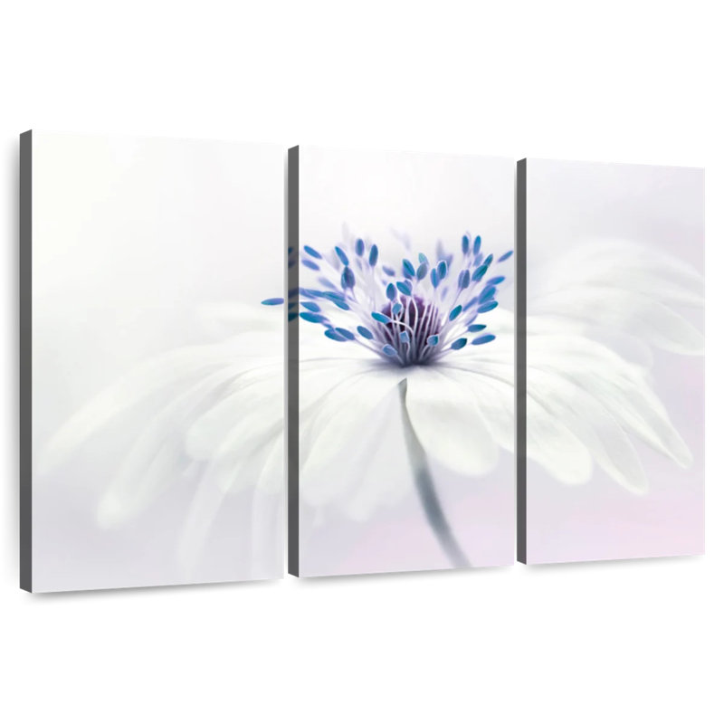 Harnek Anemone Blanda Flower, 42" H x 65" W
