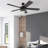 Bonterra 52" Ceiling Fan with LED Light