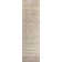 Benson Oriental Indoor Rug