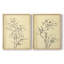 «Magnolia S croquis I», reproduction encadrée de qualité supérieure - prête à être accrochée - aucun clou requis - aucun clou requis-1881522265-1881522267