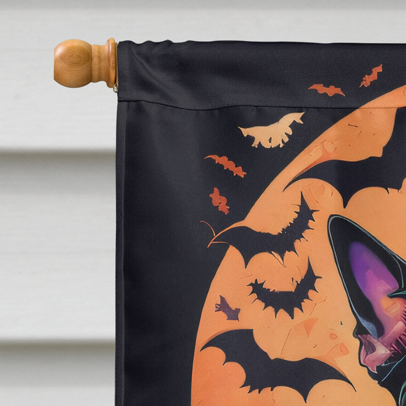 Jamayne Double Sided Polyester Halloween Garden Flag, 40" x 28"