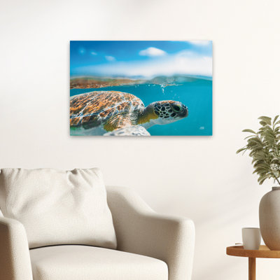 Photographie de l'océan animal contemporain