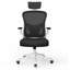 Ergonomic Mesh Office Chair with Adjustable Headrest, Swivel Desk Chair with Flip-Up Arms-511201502
