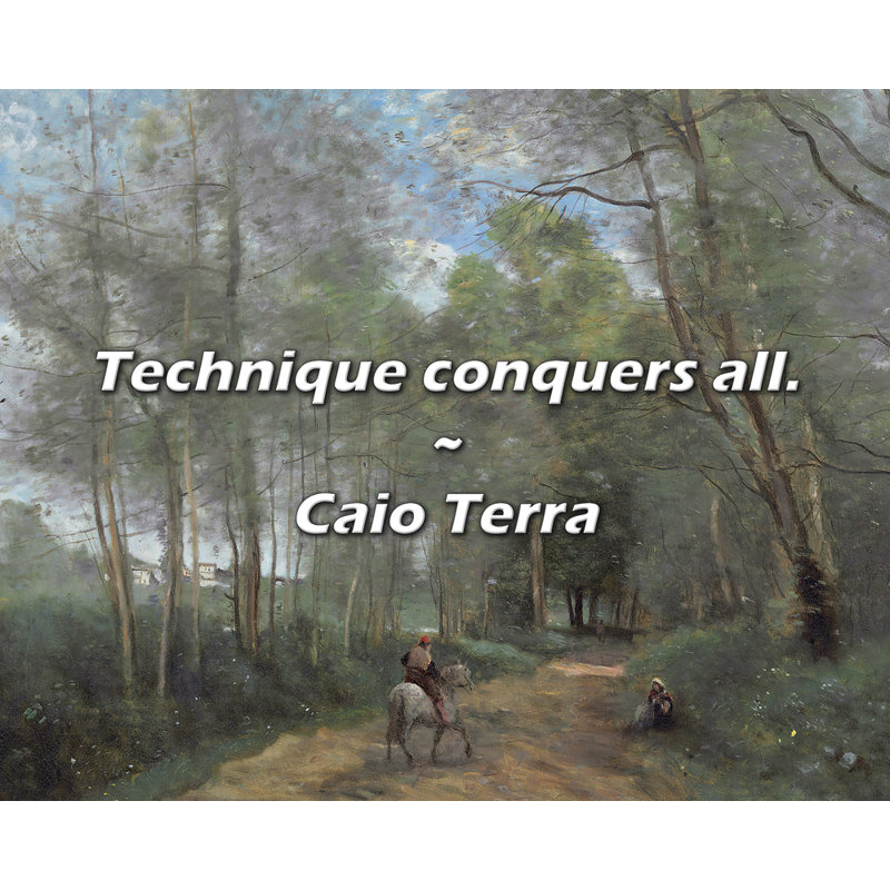 Caio Terra Quote: Technique conquers all., 15" H x 18" W